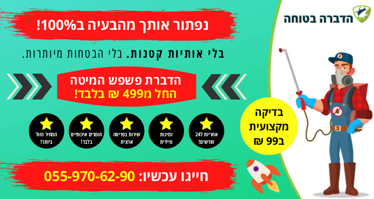 מבצע לשירות הדברת פשפש המיטה