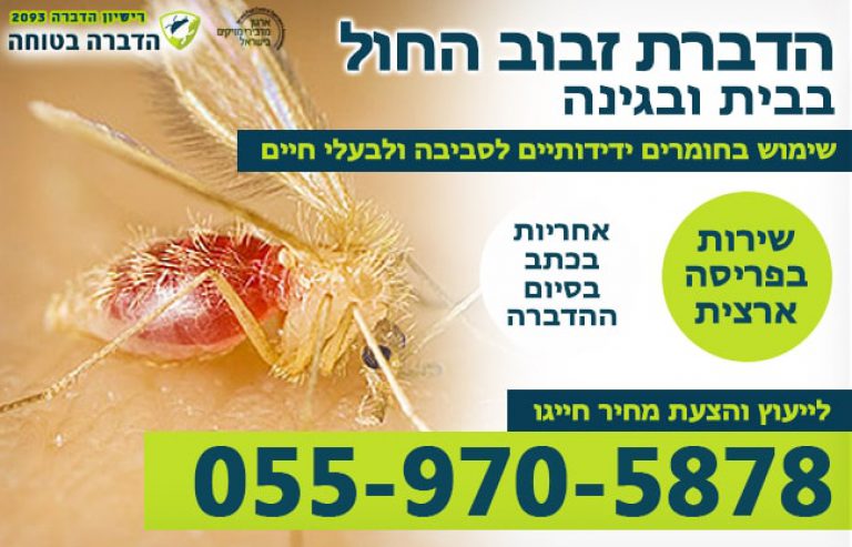 זבוב החול מה זה ואיך מדבירים אותו ️ הדברה בטוחה 