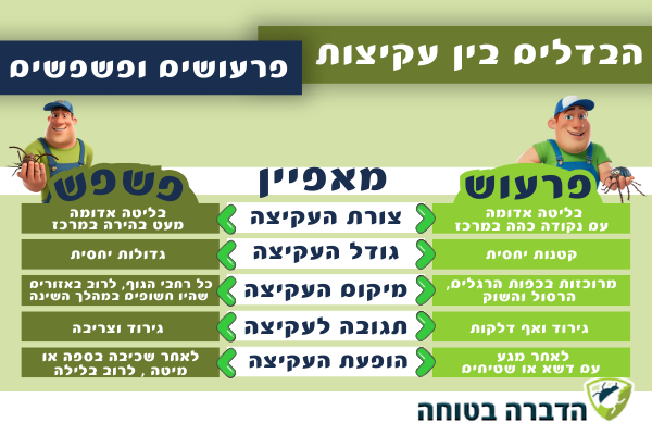ההבדל בין עקיצות פשפשים לפרעושים