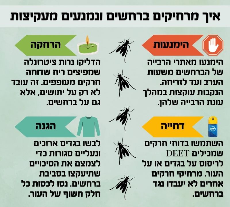 איך מרחיקים ברחשים