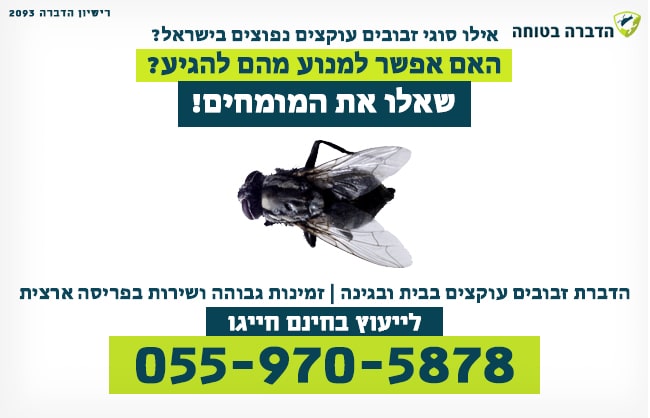 סוגי זבובים עוקצים בישראל