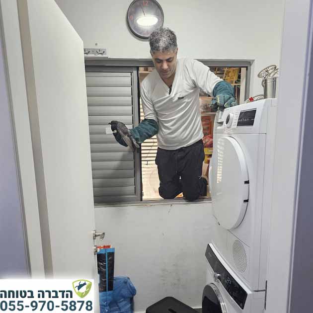 לכידת יונים במסתור כביסה בידיים