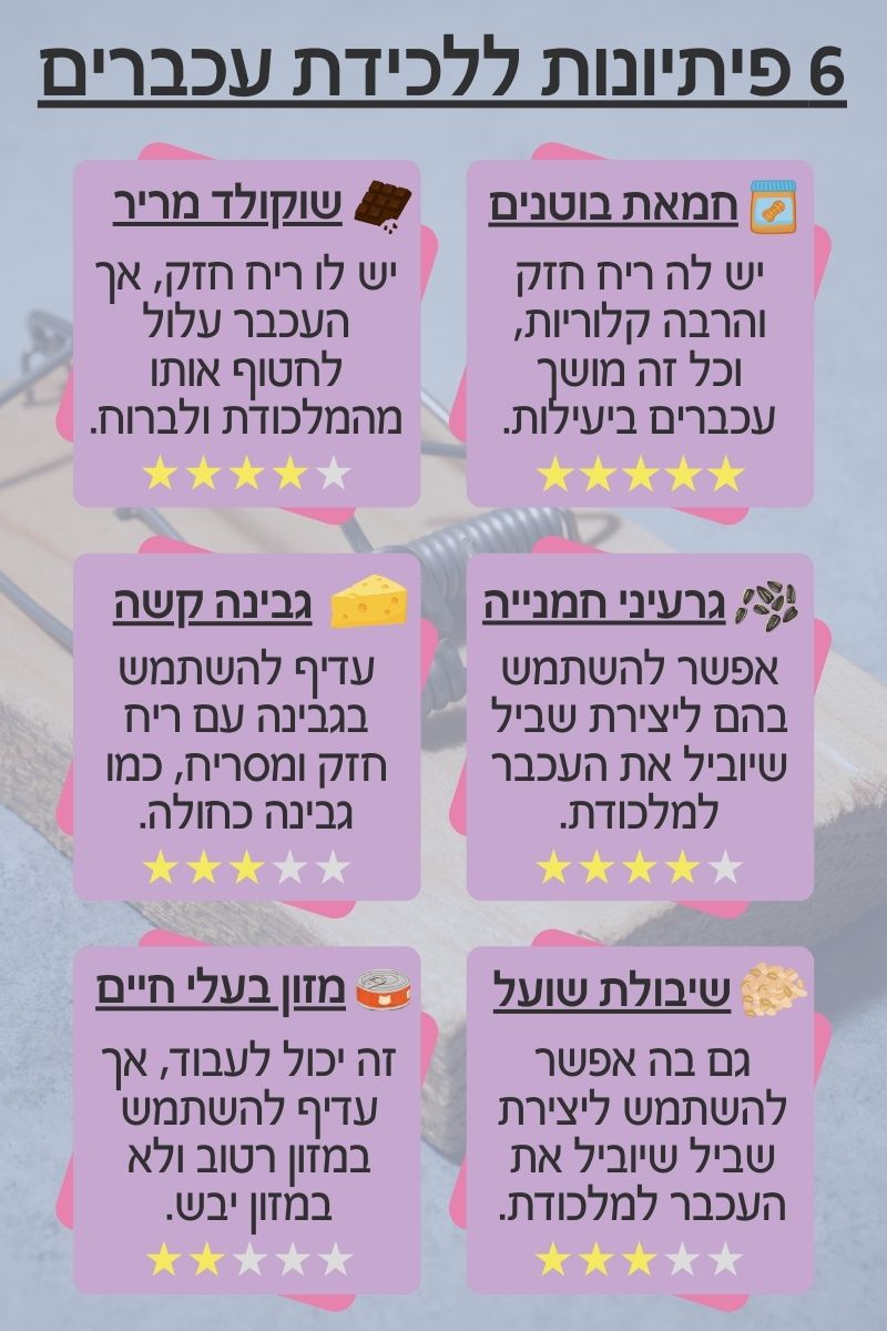 פיתיונות ללכידת עכברים