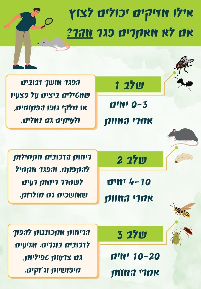 למה חשוב לאתר פגר מהר