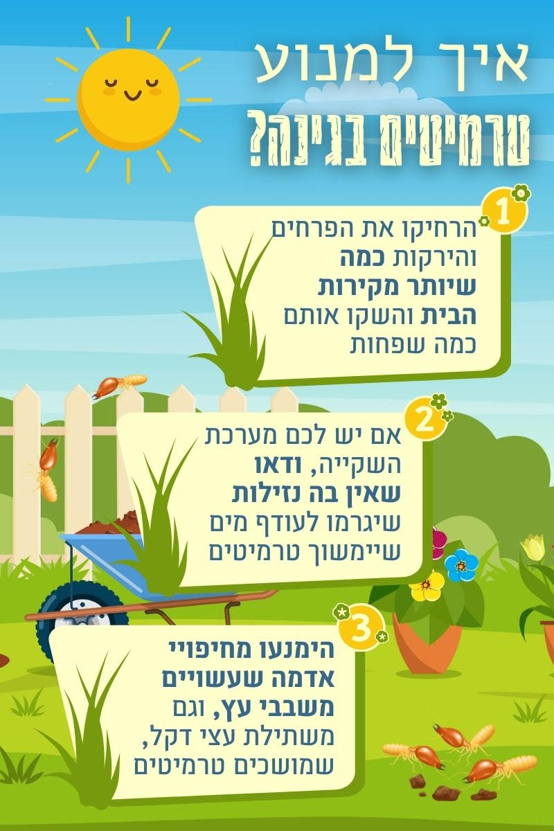 איך למנוע טרמיטים בגינה