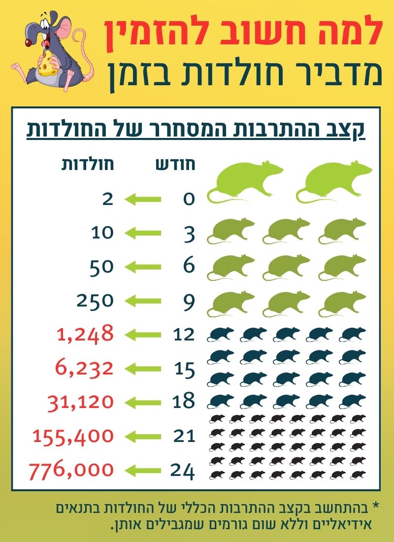 למה חשוב להזמין מדביר חולדות בזמן