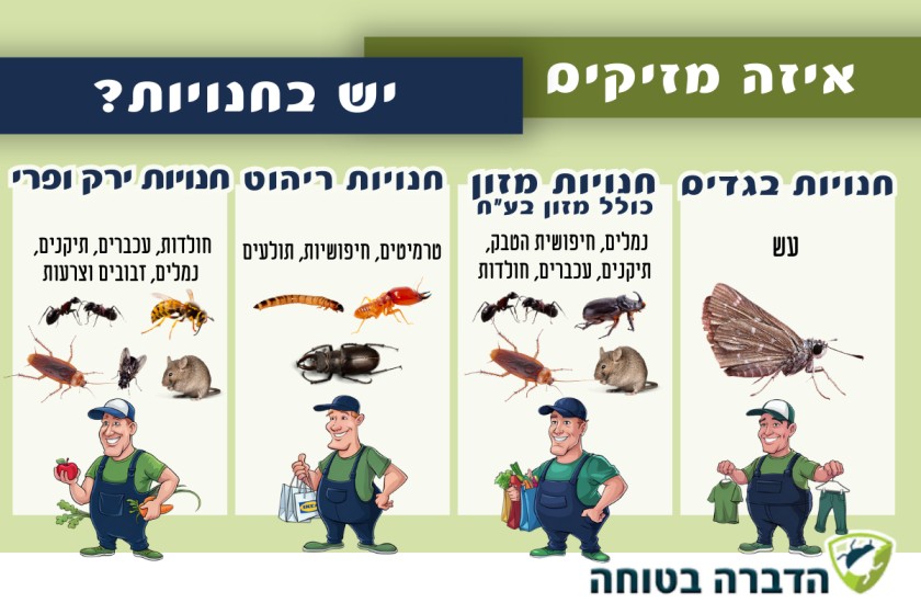 איזה מזיקים יש בחנויות