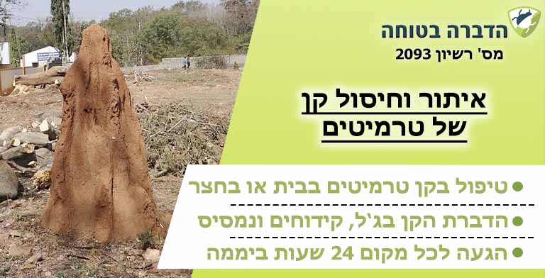 קן טרמיטים