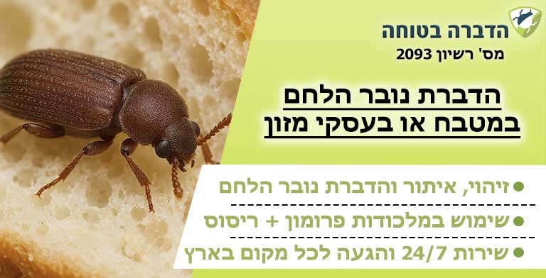 נובר הלחם