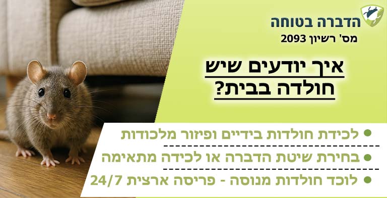 איך יודעים שיש חולדה בבית