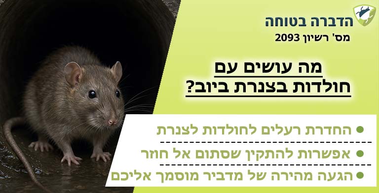 חולדה בצנרת ביוב