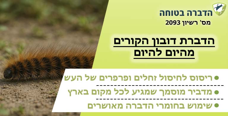 דובון הקורים