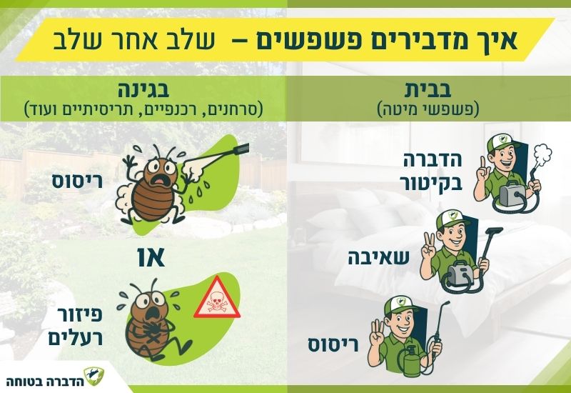 איך מדבירים פשפשים