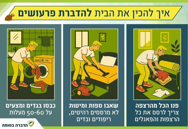 איך להכין את הבית להדברת פרעושים