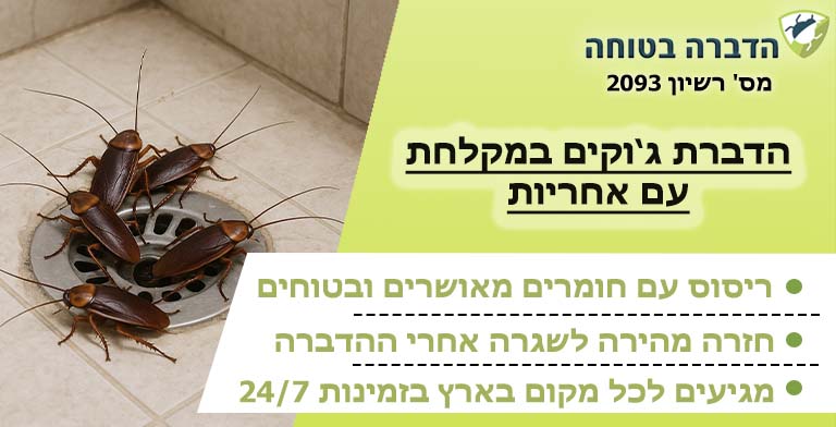 ג'וקים במקלחת