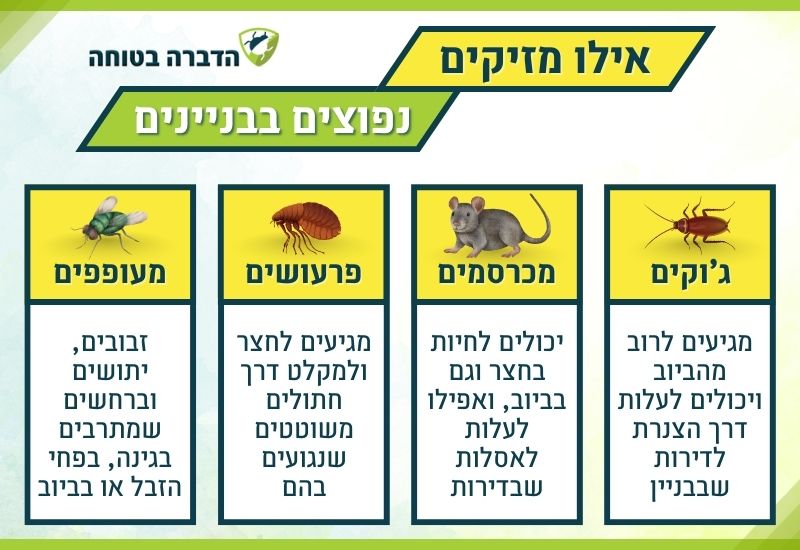 אילו מזיקים נפוצים בבניינים