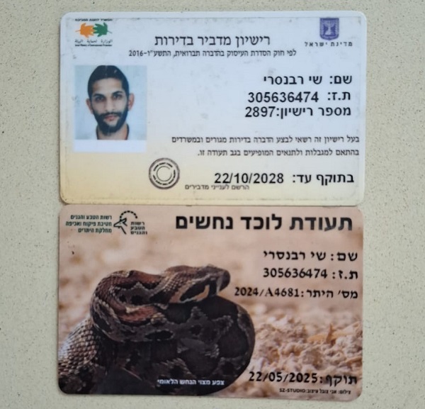 מדביר ולוכד נחשים מוסמך שי רבנסרי