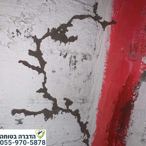 סימנים לטרמיטים בקירות