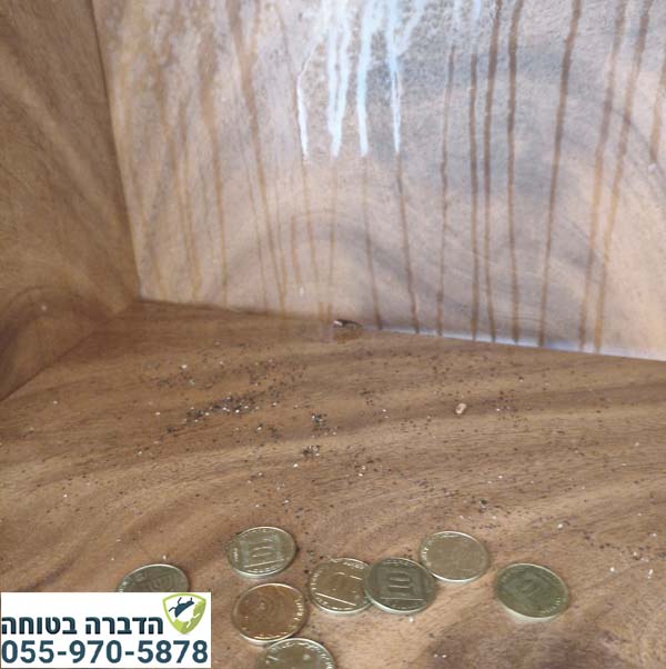 קקי של ג'וקים בארון
