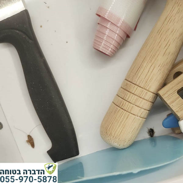 תיקן גרמני בארון המטבח