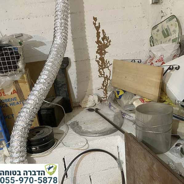 תעלות בוץ של טרמיטים על הקיר במחסן