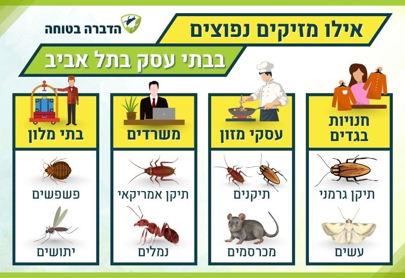 מזיקים נפוצים בתל אביב