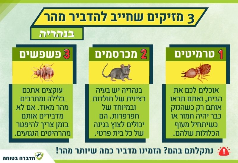 הדברת מזיקים בנהריה